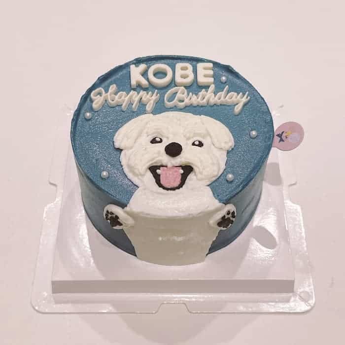 เควิน ดีรมรัมย์ avatar