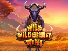 วิลเดอบีสต์ไวด์ ล่ารางวัล game icon